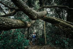 BIB: 
                            <button type="button" onclick="openModal(25706139)" class="btn btn-primary btn-sm float-right btn-popup" data-toggle="modal" data-target=".modal-high-quality">
                        <i class="fas fa-shopping-cart"></i> Add to Cart
                    </button>
                                            <button type="button" onclick="isThisMe(25706139, true)" class="btn btn-success btn-sm float-right btn-popup btn-isme hidden" data-toggle="tooltip" data-placement="bottom" title="นี่คือรูปของคุณใช่ไหม คลิกที่นี่เพื่อเอาเข้าอัลบั้ม">
                        <i class="fas fa-plus"></i> Add to album
                    </button>
                    <button type="button" onclick="isThisMe(25706139, false)" class="btn btn-warning btn-sm float-right btn-popup btn-isnotme hidden">
                        <i class="fas fa-ban"></i> Remove from album
                    </button>